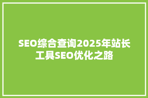SEO综合查询2025年站长工具SEO优化之路