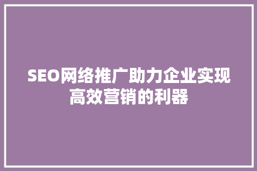 SEO网络推广助力企业实现高效营销的利器