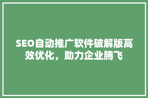SEO自动推广软件破解版高效优化，助力企业腾飞