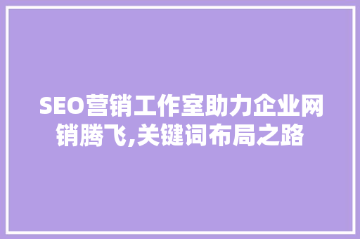 SEO营销工作室助力企业网销腾飞,关键词布局之路  第1张