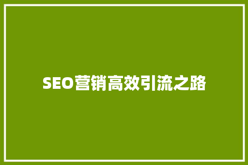 SEO营销高效引流之路