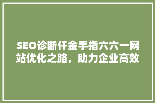 SEO诊断仟金手指六六一网站优化之路，助力企业高效提升排名