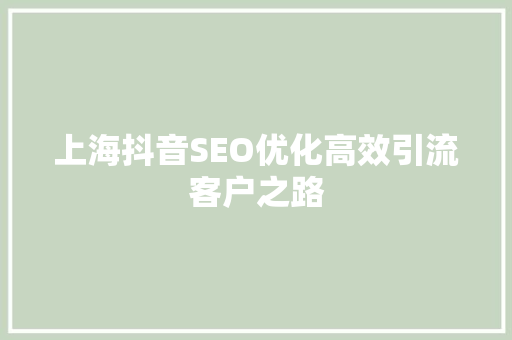 上海抖音SEO优化高效引流客户之路