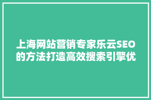 上海网站营销专家乐云SEO的方法打造高效搜索引擎优化步骤