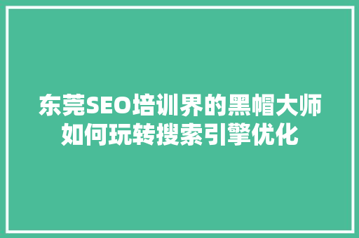 东莞SEO培训界的黑帽大师如何玩转搜索引擎优化