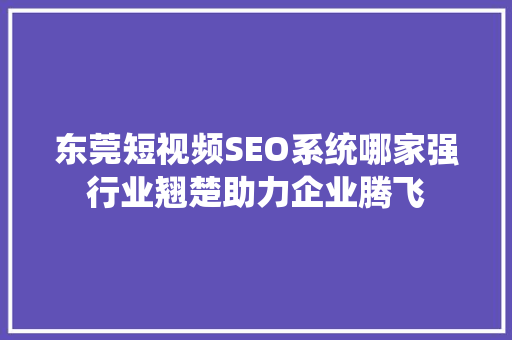 东莞短视频SEO系统哪家强行业翘楚助力企业腾飞