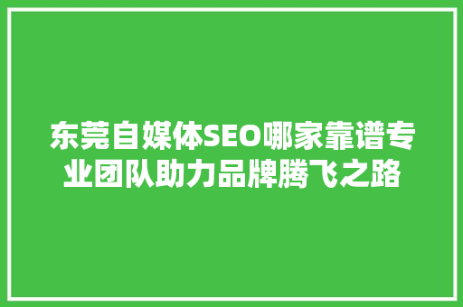 东莞自媒体SEO哪家靠谱专业团队助力品牌腾飞之路