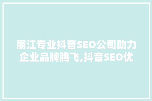 丽江专业抖音SEO公司助力企业品牌腾飞,抖音SEO优化之路