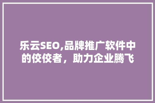 乐云SEO,品牌推广软件中的佼佼者，助力企业腾飞