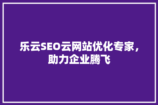乐云SEO云网站优化专家，助力企业腾飞