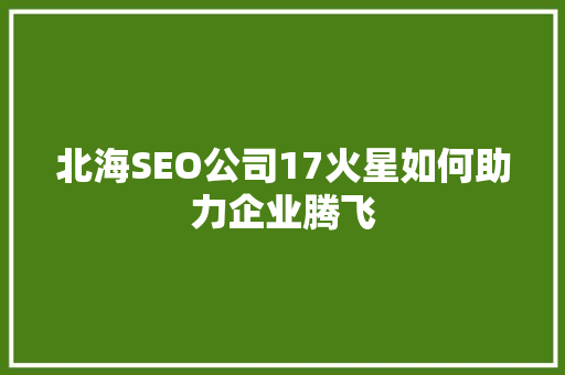北海SEO公司17火星如何助力企业腾飞