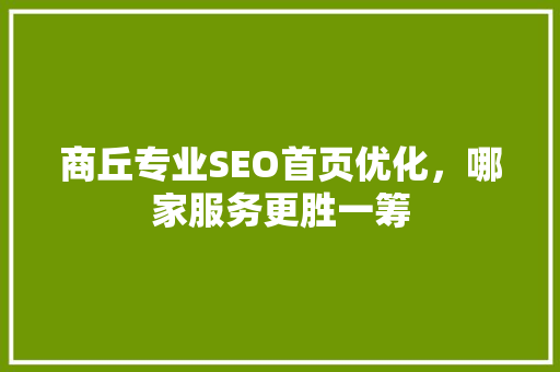 商丘专业SEO首页优化，哪家服务更胜一筹