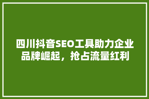 四川抖音SEO工具助力企业品牌崛起，抢占流量红利