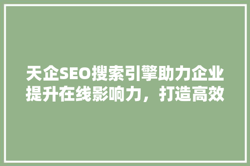 天企SEO搜索引擎助力企业提升在线影响力，打造高效网络营销步骤