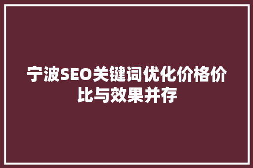 宁波SEO关键词优化价格价比与效果并存