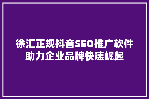 徐汇正规抖音SEO推广软件助力企业品牌快速崛起