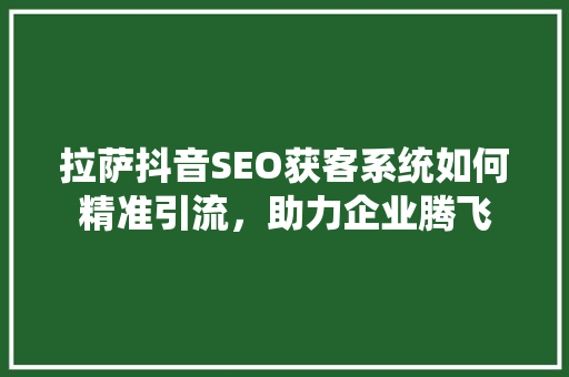 拉萨抖音SEO获客系统如何精准引流，助力企业腾飞  第1张