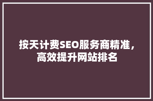 按天计费SEO服务商精准，高效提升网站排名