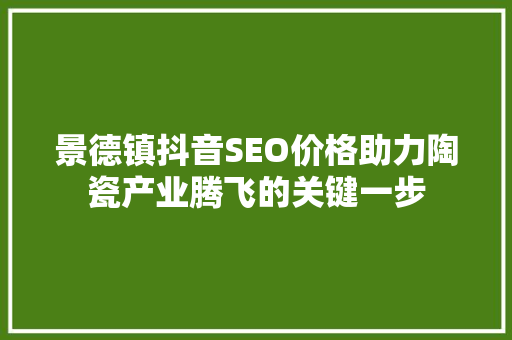 景德镇抖音SEO价格助力陶瓷产业腾飞的关键一步
