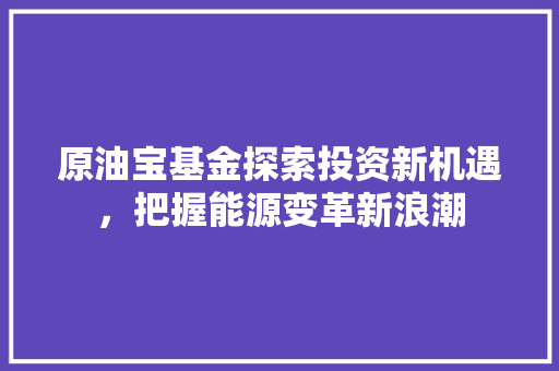原油宝基金探索投资新机遇，把握能源变革新浪潮