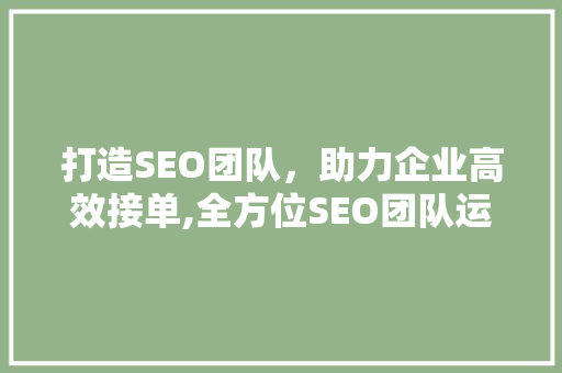 打造SEO团队，助力企业高效接单,全方位SEO团队运营步骤
