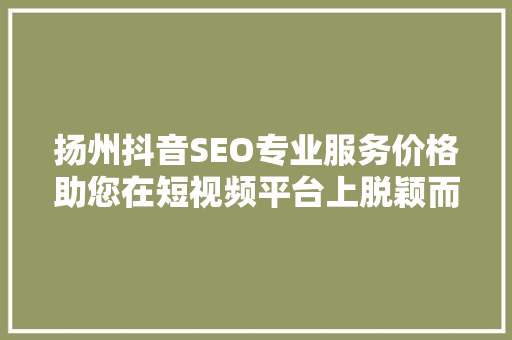 扬州抖音SEO专业服务价格助您在短视频平台上脱颖而出