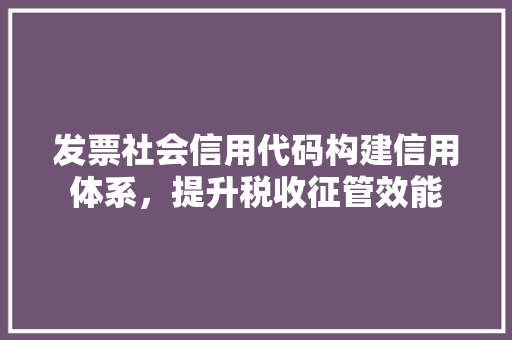 发票社会信用代码构建信用体系，提升税收征管效能