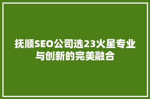 抚顺SEO公司选23火星专业与创新的完美融合