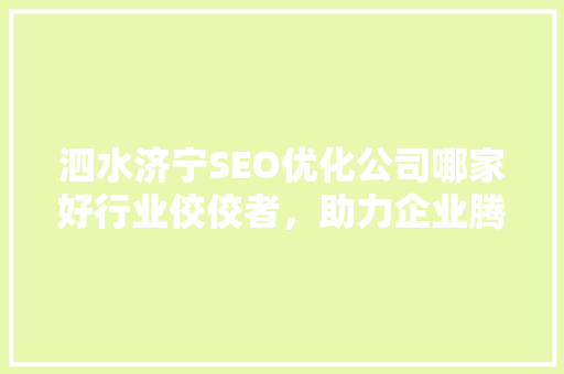 泗水济宁SEO优化公司哪家好行业佼佼者，助力企业腾飞