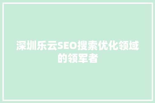 深圳乐云SEO搜索优化领域的领军者