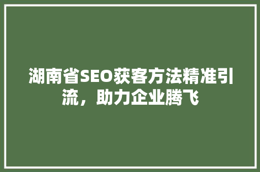 湖南省SEO获客方法精准引流，助力企业腾飞