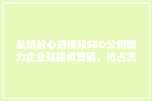 盐城放心短视频SEO公司助力企业短视频营销，抢占流量高地