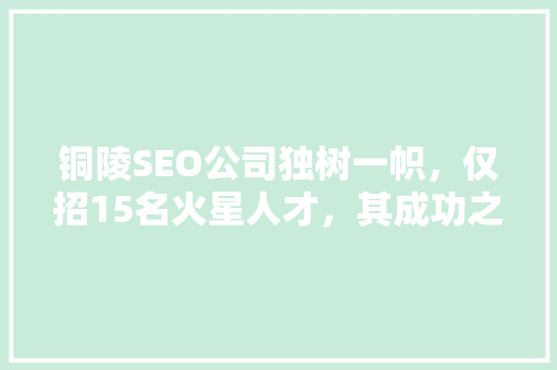 铜陵SEO公司独树一帜，仅招15名火星人才，其成功之路