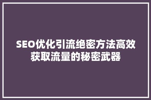 SEO优化引流绝密方法高效获取流量的秘密武器