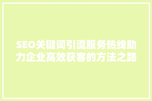 SEO关键词引流服务热线助力企业高效获客的方法之路