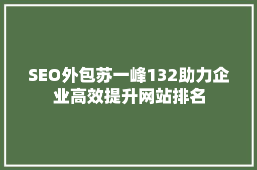 SEO外包苏一峰132助力企业高效提升网站排名