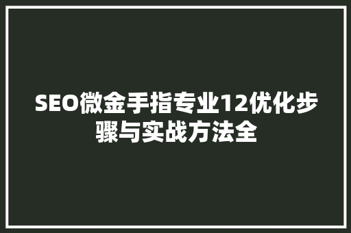 SEO微金手指专业12优化步骤与实战方法全