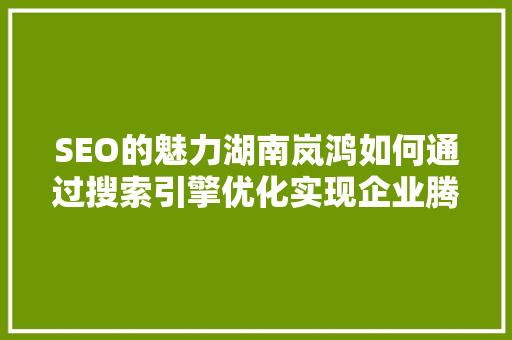 SEO的魅力湖南岚鸿如何通过搜索引擎优化实现企业腾飞