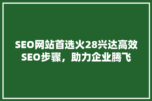 SEO网站首选火28兴达高效SEO步骤，助力企业腾飞