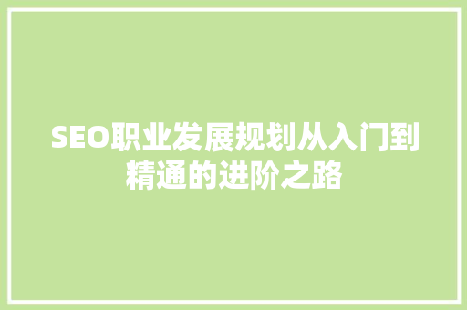 SEO职业发展规划从入门到精通的进阶之路