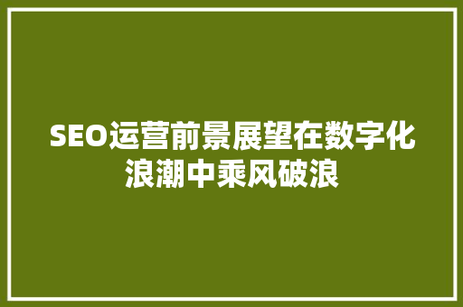 SEO运营前景展望在数字化浪潮中乘风破浪