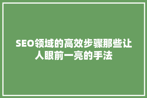 SEO领域的高效步骤那些让人眼前一亮的手法