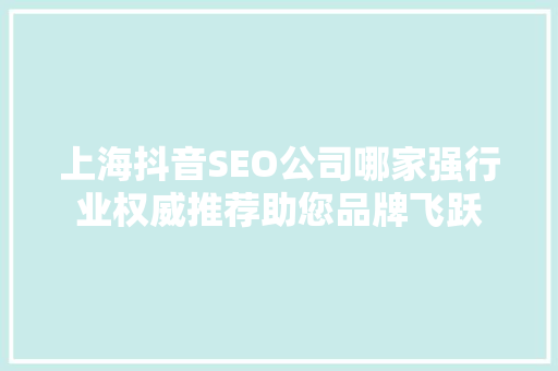 上海抖音SEO公司哪家强行业权威推荐助您品牌飞跃