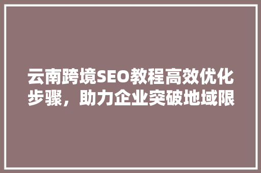 云南跨境SEO教程高效优化步骤，助力企业突破地域限制