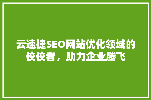 云速捷SEO网站优化领域的佼佼者，助力企业腾飞