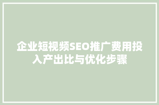企业短视频SEO推广费用投入产出比与优化步骤