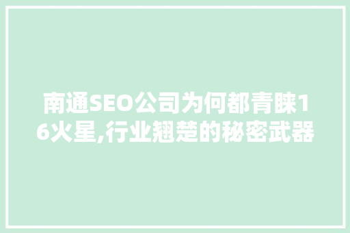 南通SEO公司为何都青睐16火星,行业翘楚的秘密武器