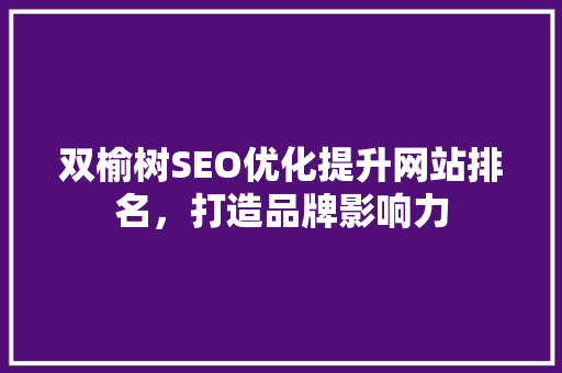 双榆树SEO优化提升网站排名，打造品牌影响力