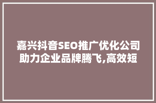 嘉兴抖音SEO推广优化公司助力企业品牌腾飞,高效短视频营销之路