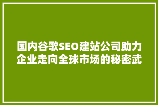 国内谷歌SEO建站公司助力企业走向全球市场的秘密武器